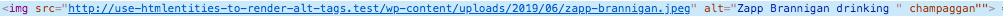 example of incorrectly formatted alt tag